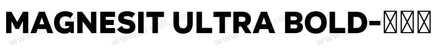 Magnesit Ultra Bold字体转换